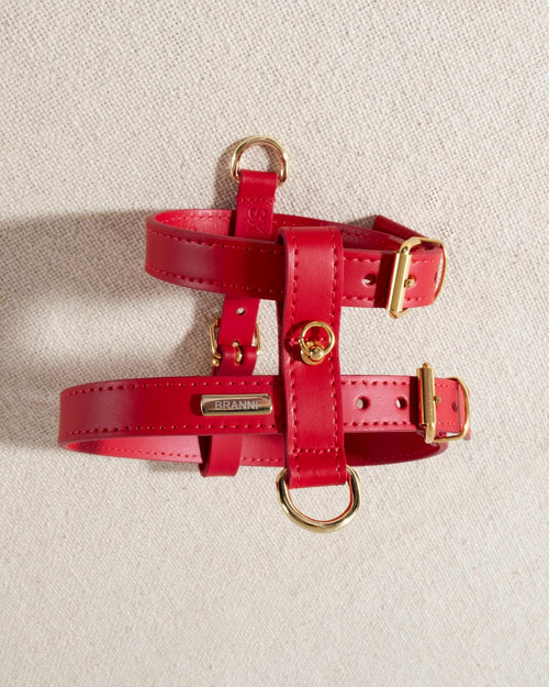 red leather dog harness with gold accents