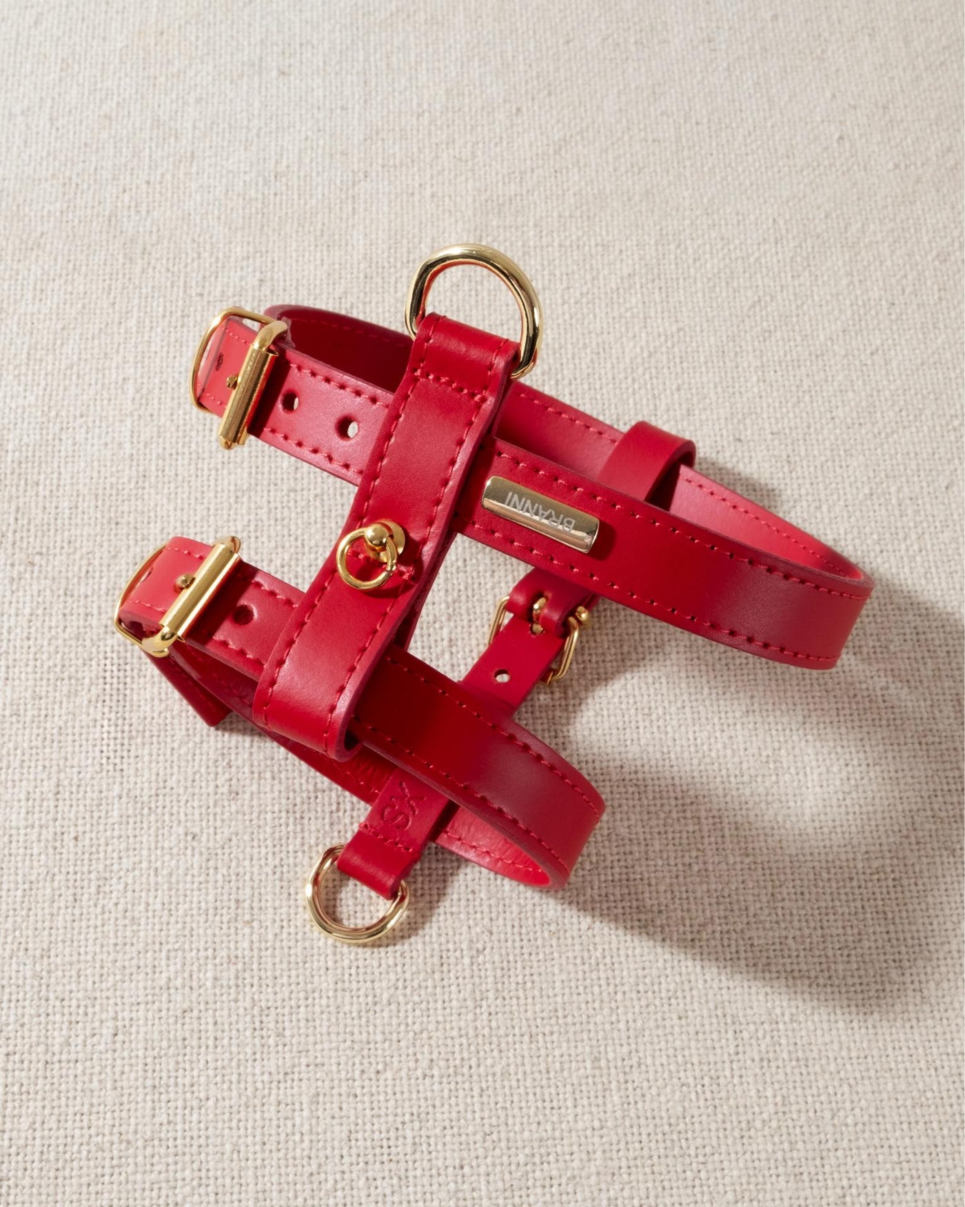 red leather dog harness with gold accents