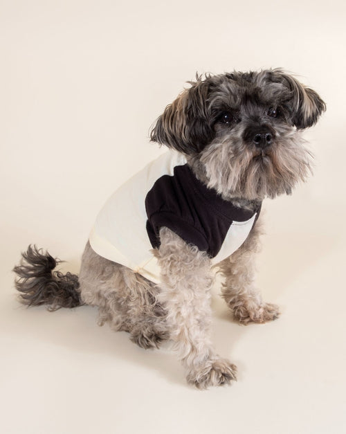 Active and fashionable Muscle Dog T-shirt for pups who like to look sporty and feel comfortable.