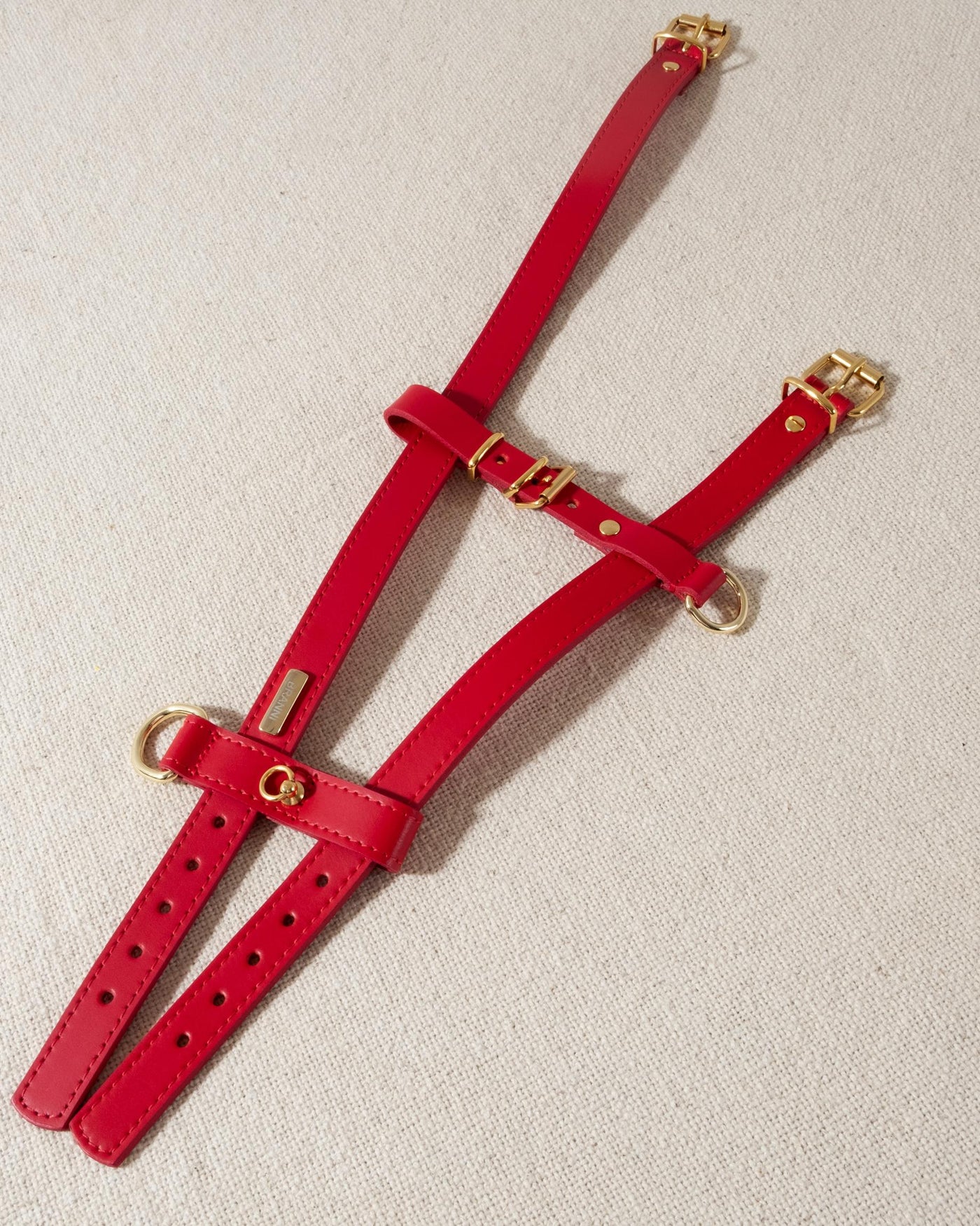 red leather dog harness with gold accents