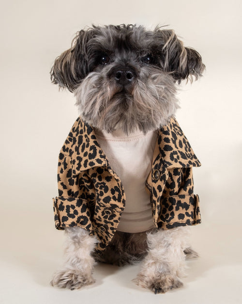 Trendy Leopard Dog Jacket - Fashionable and functional jacket to keep your dog warm!