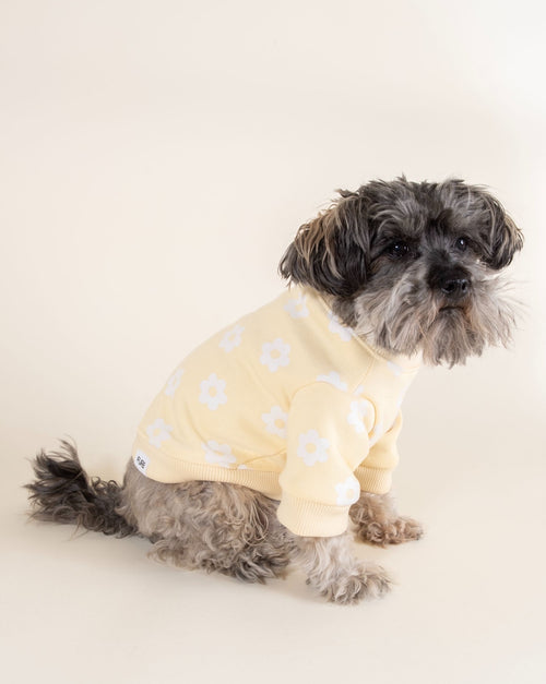 Cozy floral sweatshirt for dogs, ideal for snuggling in style during cooler months