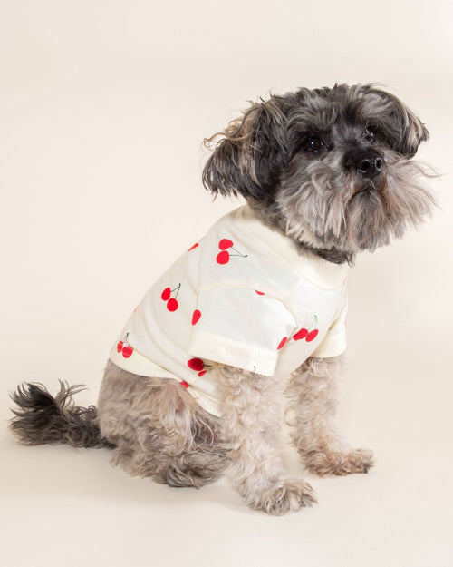 Cherries printed dog t-shirt for small breeds like Pugs and French Bulldogs, designed for comfort and style