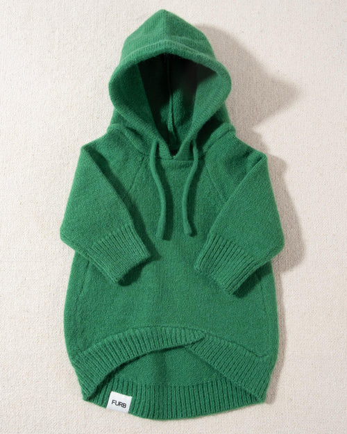 Milan Green Dog Hoodie cute corgi outfits