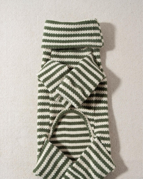 green and ivory striped turtleneck dog onesie designer chihuahua clothes