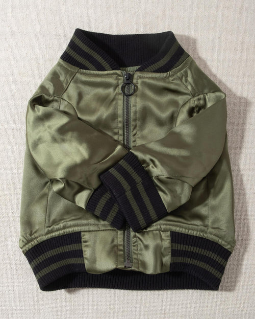 A modern take on a retro classic. Buttery-soft olive green satin practically melts over your pup, with ribbed cuffs and hem, detailed with coordinating green and black stripes. Accented with a chic pewter O-ring pull. . Chihuahua bomber jacket. 