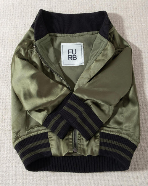 A modern take on a retro classic. Buttery-soft olive green satin practically melts over your pup, with ribbed cuffs and hem, detailed with coordinating green and black stripes. Accented with a chic pewter O-ring pull. . Corgi bomber jacket. 