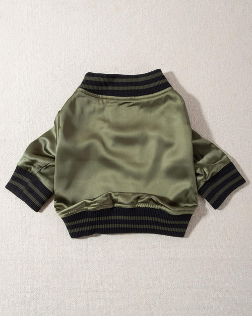 A modern take on a retro classic. Buttery-soft olive green satin practically melts over your pup, with ribbed cuffs and hem, detailed with coordinating green and black stripes. Accented with a chic pewter O-ring pull. . French bulldog bomber jacket. 