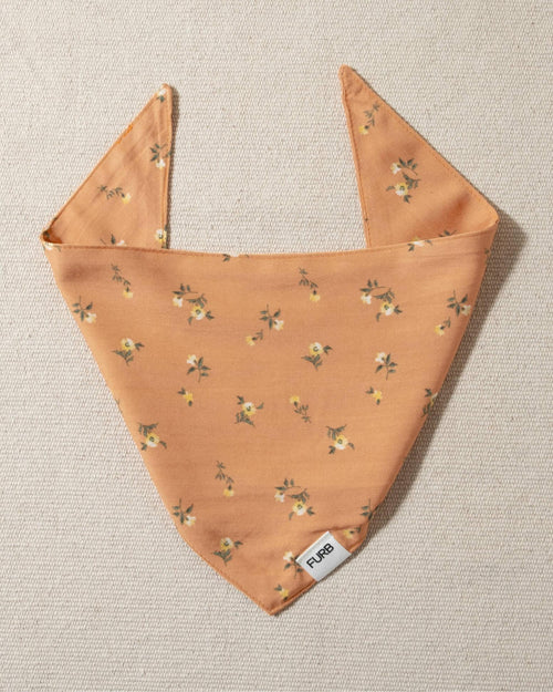 peach floral dog bandana and tasteful furb logo