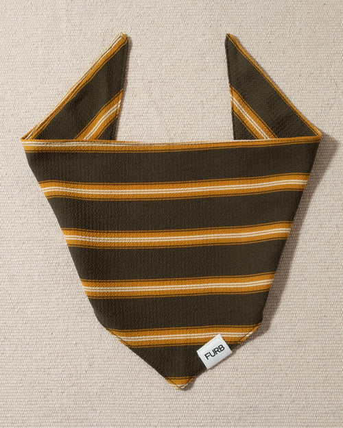 Green dog bandana with yellow stripes, ideal for summer and casual wear.