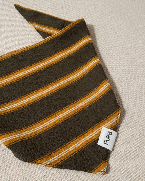 Green and yellow striped dog bandana, a cute and fashionable accessory for your dog.