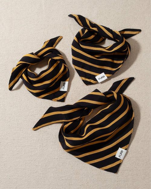 Midnight blue dog bandana with yellow stripes and tasteful Furb logo, perfect for a sophisticated look.