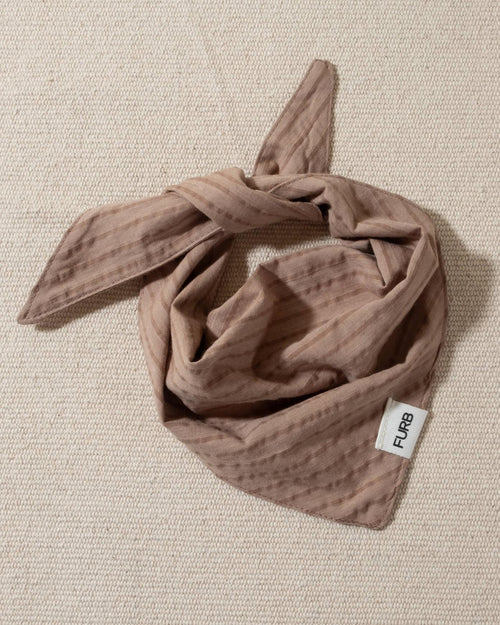 nutmeg brown striped dog bandana and tasteful furb logo