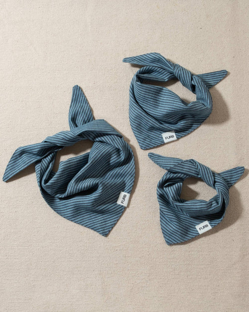 denim stripe dog bandana with tasteful furb tag
