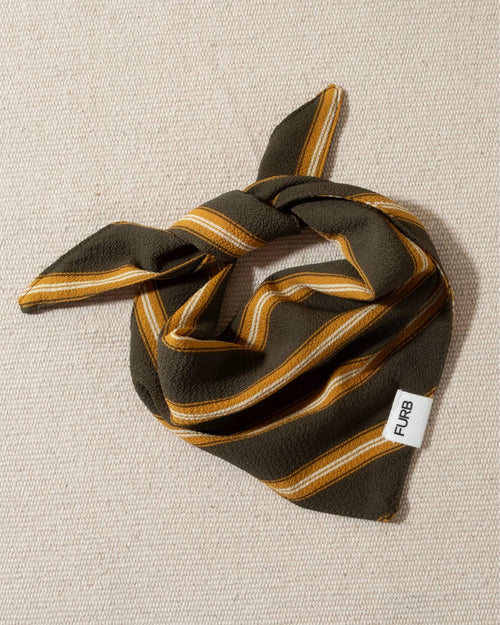 Green dog bandana with yellow stripes, perfect for adding a pop of color to your dog’s outfit.