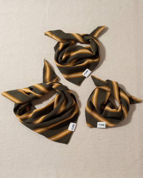 Stylish green and yellow striped bandana for dogs, a great way to add flair to your pup’s look.