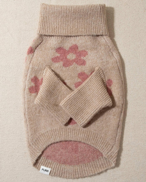 floral dog sweater. frenchie sweater 