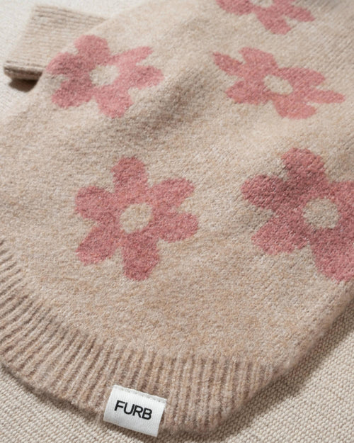 floral dog sweater. frenchie sweater for dog 