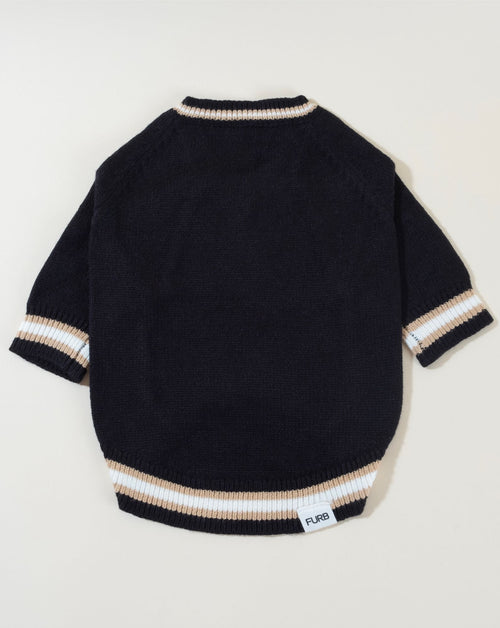 Classic black varsity sweater for dogs, perfect for chilly days, ideal for breeds like Dachshunds and Shih Tzus.
