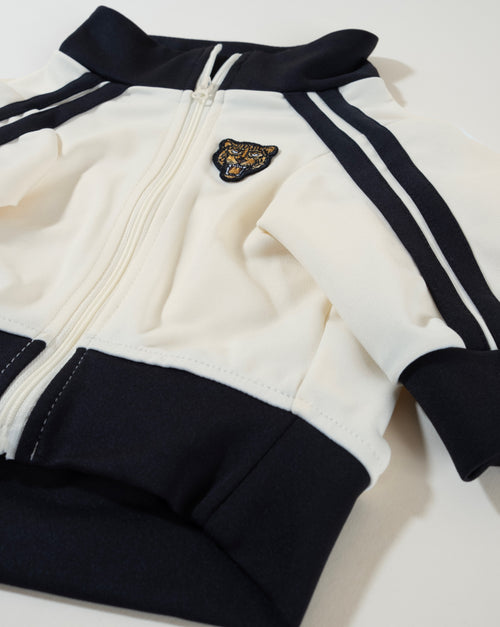 Ivory + black track jacket. Perfect for any sporty dog who loves to show off their style.