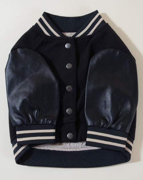 Black leather letterman jacket for dogs, combining style and comfort for your pet.