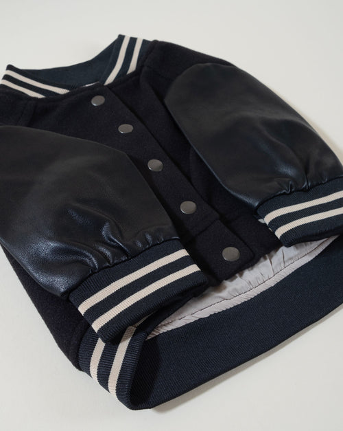 Premium black leather dog jacket, perfect for your stylish canine.