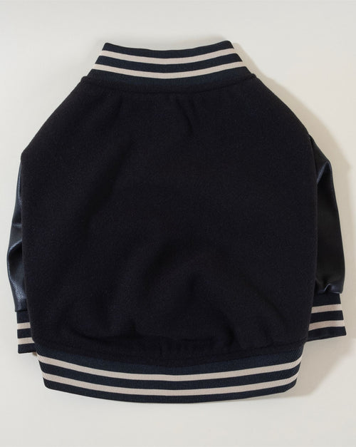 Stylish black leather letterman jacket, perfect for fashionable dogs.