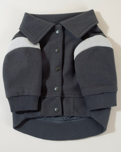 Gray wool jacket. Winter jacket for Beagle, stylish and warm for your pet.