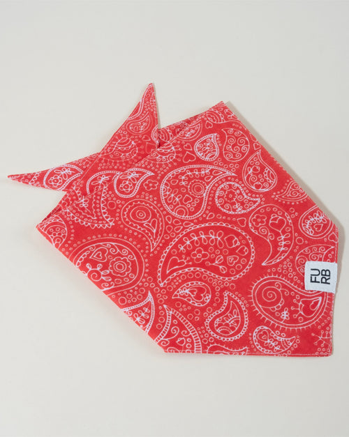 Red print dog bandana for a trendy, classic look for your dog.
