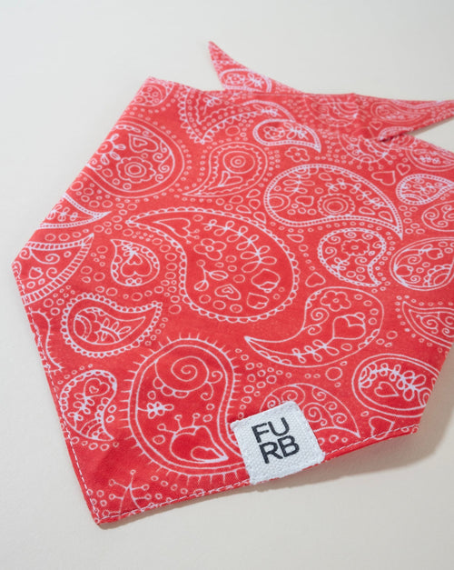 Stylish red print dog bandana, perfect for adding a bold touch to your dog’s look.