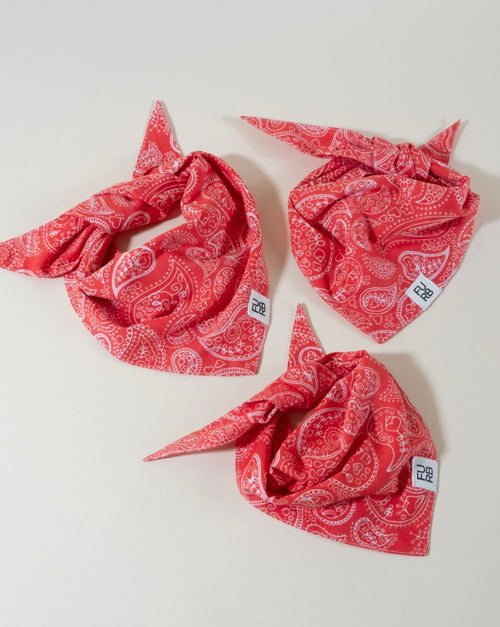 Dolly red print dog bandana, perfect for adding a pop of color to your pup’s outfit.