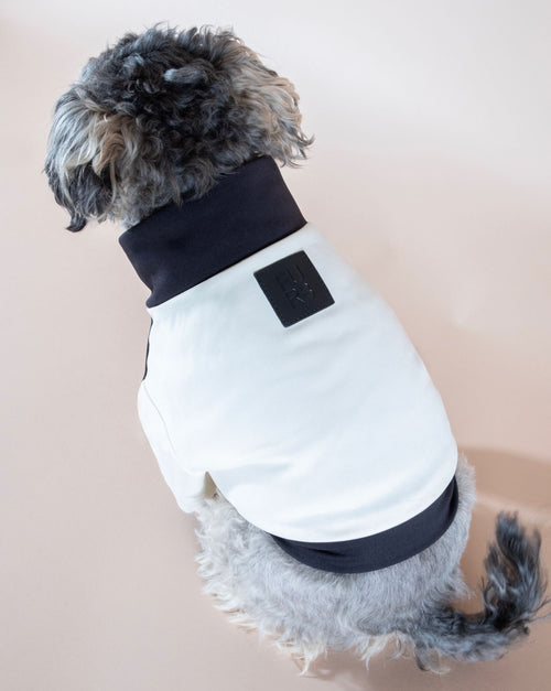 Ivory + black track jacket. Ideal for keeping your pup comfortable during exercise.