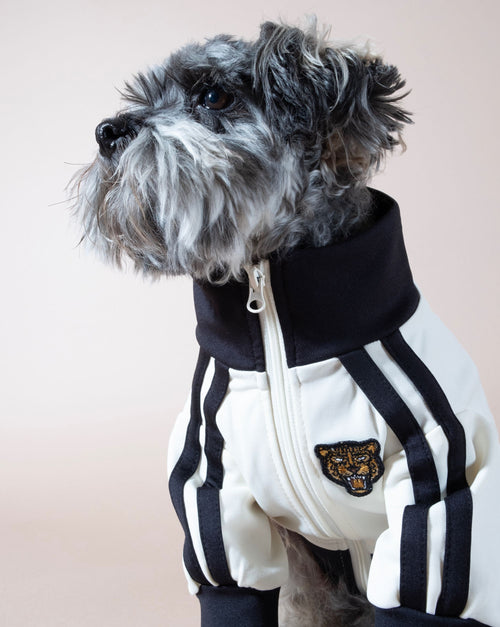 Ivory + black track jacket. Stylish outfit for your dog’s active lifestyle.