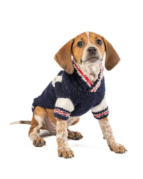 Varsity dog sweater. bichon frise sweater.