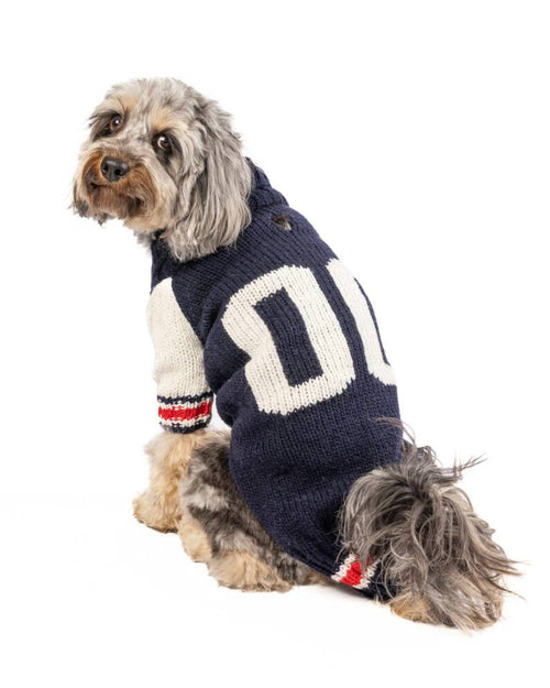 Varsity dog sweater. poodle in a sweater.