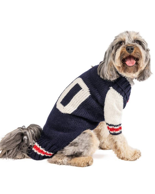 Varsity dog sweater. pug holiday sweater.