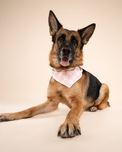 Make a Move Pink Check Bandana