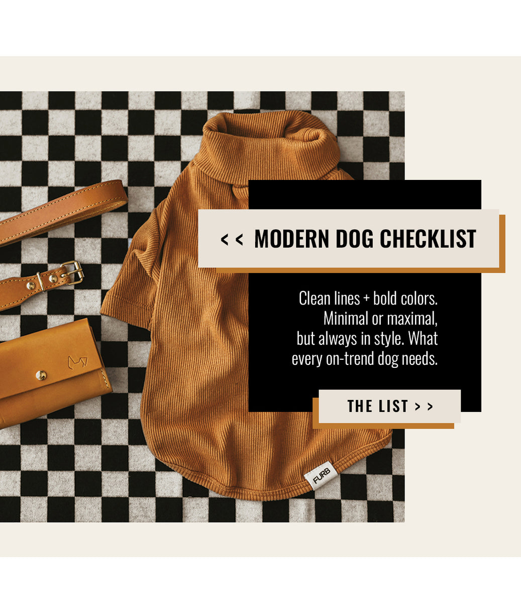 Modern Dog Checklist- what every on trend dog needs. Shop the list >