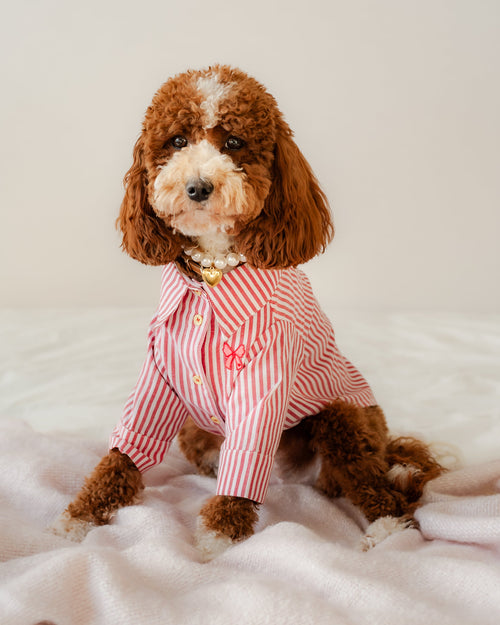 Nantucket Red + White Striped Button Up