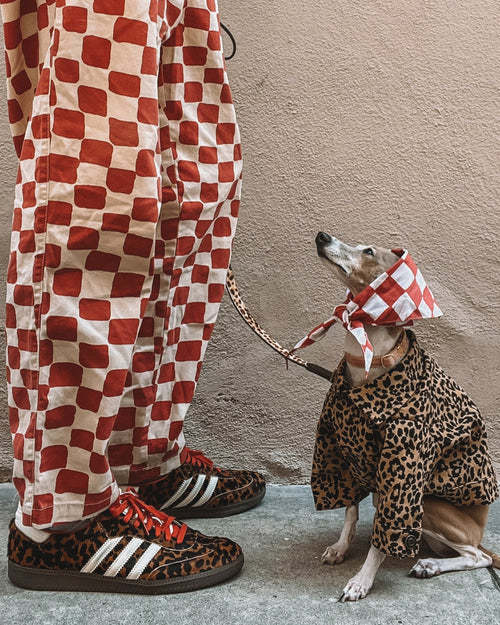 Ozzie Leopard Denim Dog Jacket