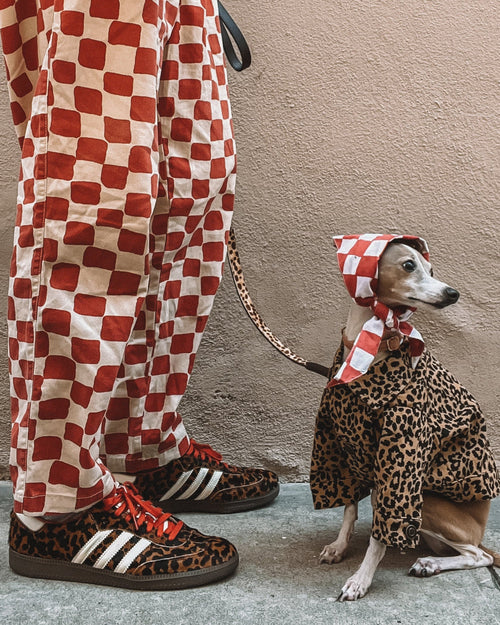 Ozzie Leopard Denim Dog Jacket