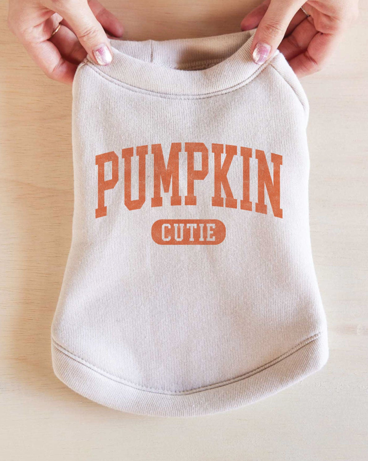 Pumpkin Cutie Dog Sweatshirt