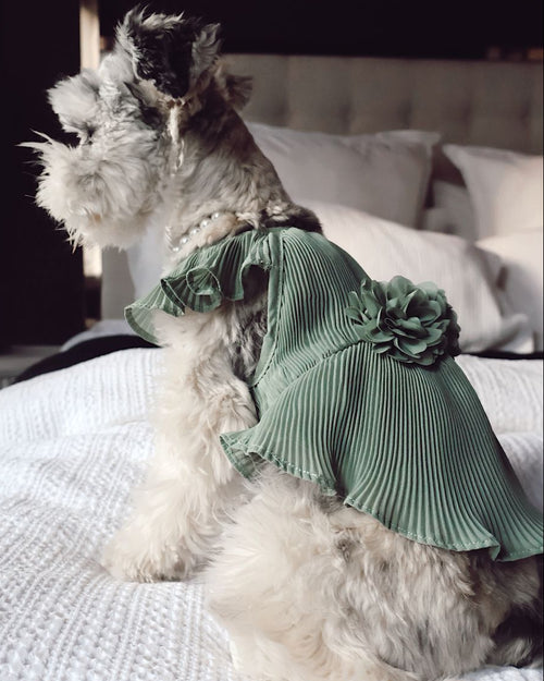 Love Story Sage Green Pleated Chiffon Dress