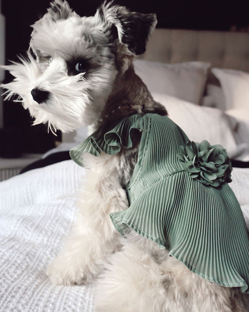 Love Story Sage Green Pleated Chiffon Dress