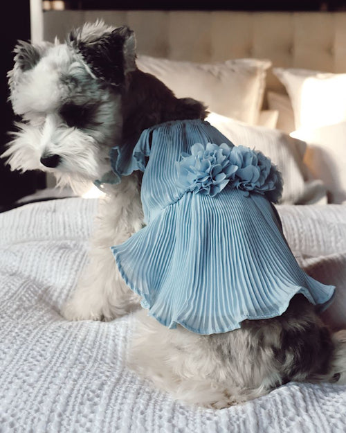Love Story Ice Blue Pleated Chiffon Dress