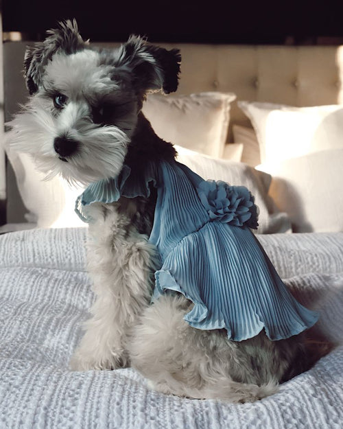 Love Story Ice Blue Pleated Chiffon Dress