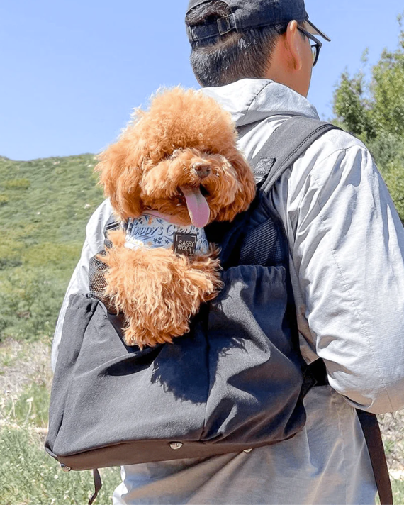 Saddle Up Front + Back Carrier