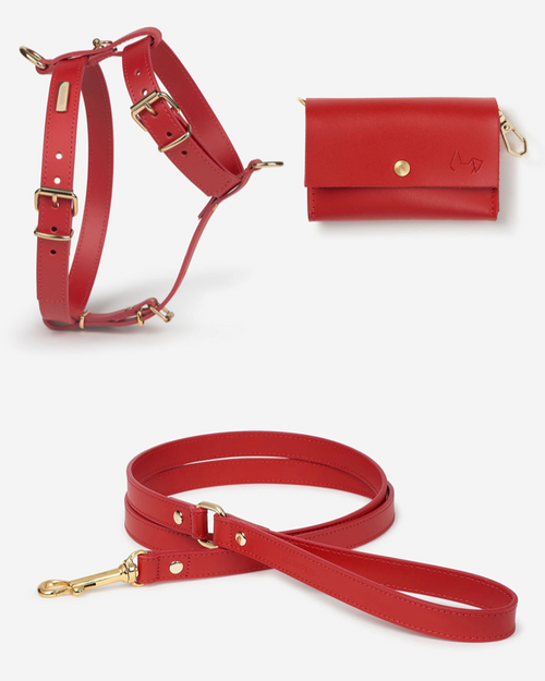 Complete red dog walk kit with leash and bag holder, perfect for small breeds like Chihuahuas and Pomeranians