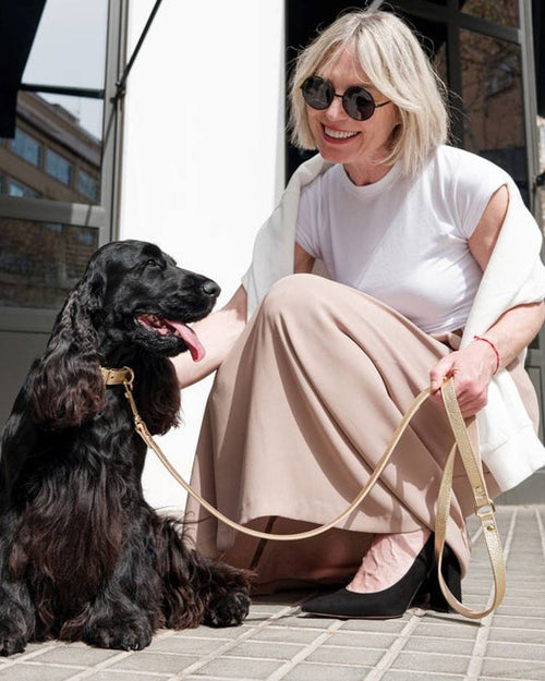 High-quality gold leather leash, a perfect match for your stylish dog.