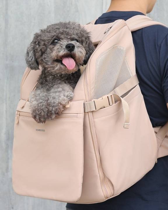 Adventure Awaits Pet Backpack